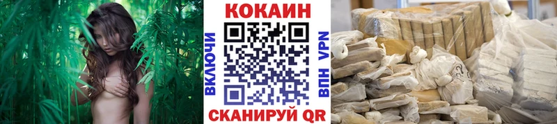 купить   Дегтярск  COCAIN Эквадор 